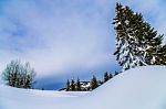 Snow And Trees, With A Cloudy Blue Sky Stock Photo