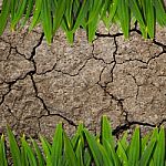 Soil Texture And Green Grass Stock Photo