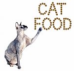 Sphynx Cat And The Inscription Of The Feed 'cat Food' Stock Photo