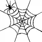 Spider And Web Stock Photo