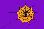 Spider On Cobweb Stock Photo