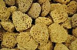 Sponges Stock Photo