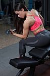 Sporty Woman Exercising With Weights In Her Gym Stock Photo