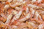 Spot Prawns Background Stock Photo
