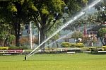 Sprinkler Was In The Lawn Water Injection Stock Photo