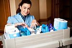 Staff Arranging Toiletries In Cart Stock Photo