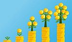 Step Capital Growth Business Concept Stock Photo