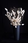 Still Life White Dry Flower Bouquet In Black Enamel Vase On Dark Stock Photo