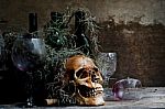 Still Life With A Skull Stock Photo