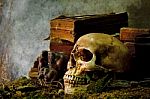 Still Life With A Skull Stock Photo