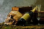 Still Life With A Skull Stock Photo