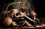 Still Life With A Skull Stock Photo