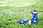 Strappy High Heels Shoes On Grass Stock Photo
