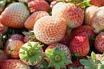 Strawberry Stock Photo