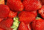 Strawberry Pattern Stock Photo