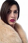 Stylish Young Woman In Fur Coat Stock Photo