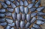 Sun Dried Fish In The Market Stock Photo