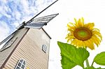 Sunflower With Wind Turbine Stock Photo
