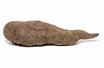 Sweet Potato On White Background Stock Photo