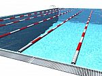 Swimming Stock Photo