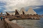Sydney Opera House View From Botanic Garden With Harbour Bridge Stock Photo