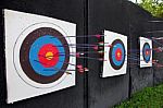 Target Archery And Many Arrow Stock Photo