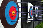 Target Archery And Many Arrow Stock Photo
