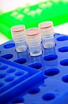 Test Tubes Stock Photo