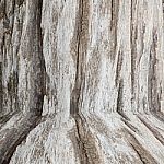 Texture Of Wood Background Closeup Stock Photo