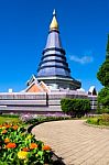 Thai Pagoda Stock Photo