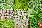 Thai Vegetables Stock Photo