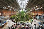 The Botanical Garden Inside The Atocha Train Station In Madrid, Spain Stock Photo