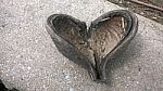 The Heart Shape From Nature Stock Photo