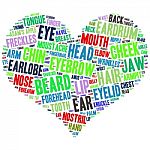 The Human Body Tag Word Cloud Background Stock Photo