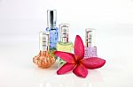 The Red Flowers And Orange,blue,green,violet Perfume Bottles Stock Photo