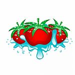Three Tomatoes Stock Photo