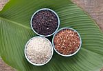 Three Type Of Rice In Cup Stock Photo