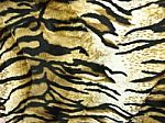 Tiger Skin Stock Photo