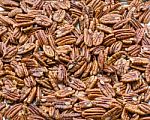 Toasted Pecans Stock Photo