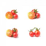 Tomato Stock Photo