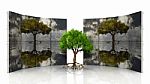 Tree And Panels Stock Photo