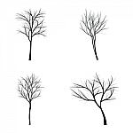 Trees With Dead Branch Stock Photo
