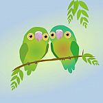 Two Cute Parrots Stock Photo