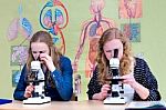 Two Dutch Teenage Girls Looking Through Microscope Stock Photo
