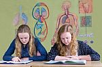 Two Dutch Teenage Girls Reading Text Books With Biology Wall Cha Stock Photo