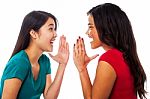 Two Girls Sharing Their Secrets Stock Photo