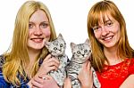 Two Girls Showing Young Silver Tabby Cats Stock Photo