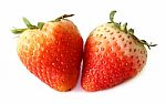 Two Strawberries Stock Photo