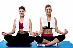 Two Young Girls Doing Yoga At Gym Stock Photo
