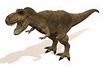 Tyrannosaurus Rex Stock Photo